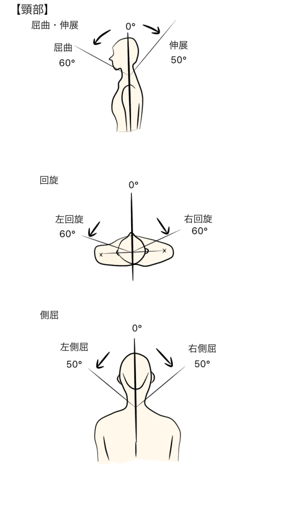 頸部関節の参考可動域角度